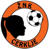 https://img.tcmgzy.com/img/football/team/26a677efcdd89a3407b165d3b180819e.png